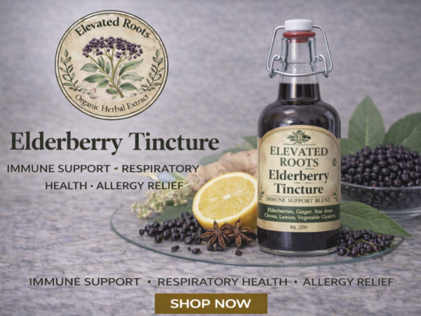 Elderberry Tincture